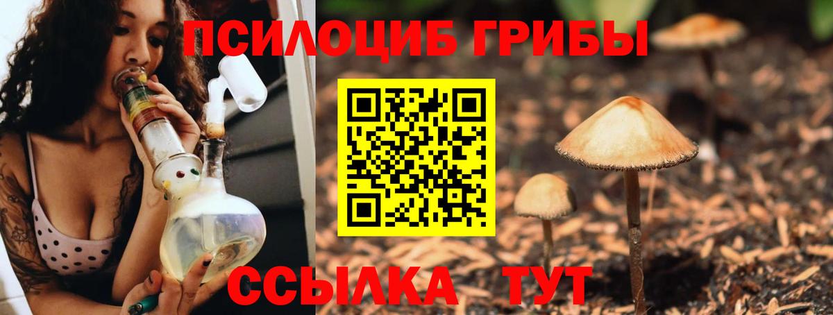 Новокубанск  Псилоцибиновые грибы Cubensis  Галлюциногенные грибы Cubensis  Вход с VPN 