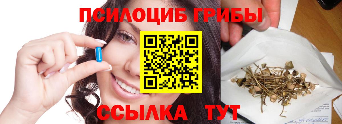 Галлюциногенные грибы Psilocybine cubensis  купить наркоту  Новокубанск 